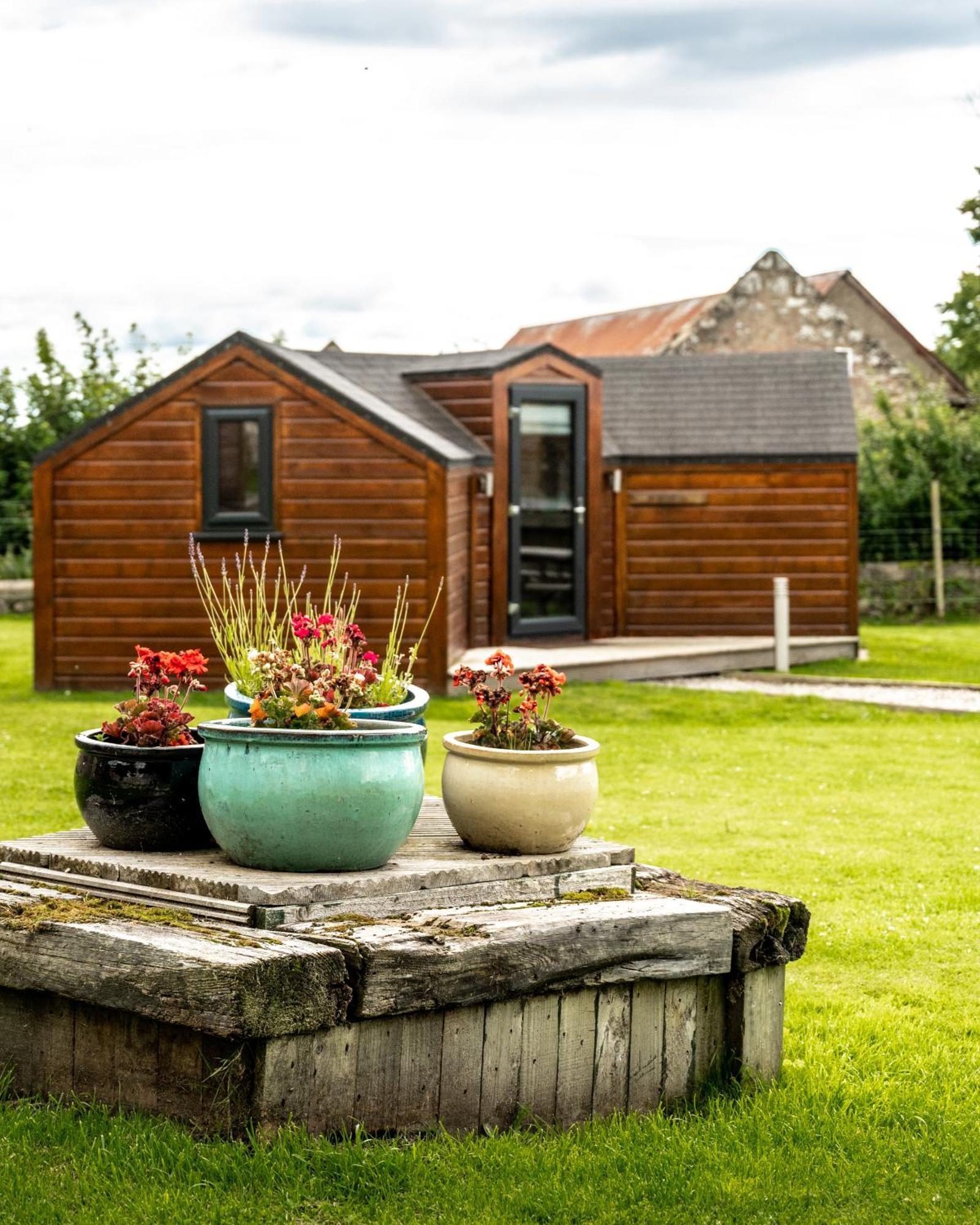 Delny Glamping And Farm Animals Hotel Invergordon Eksteriør billede